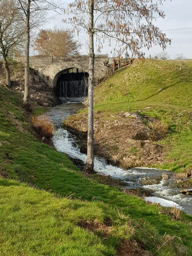 Minoterie Carnat Moulin de Briffaud Saône et Loire Bourgogne Franche Comté Neuvy Grandchamp 71 force hydraulique Etang turbine barrage impact carbone autosuffisance énergétique (8)
