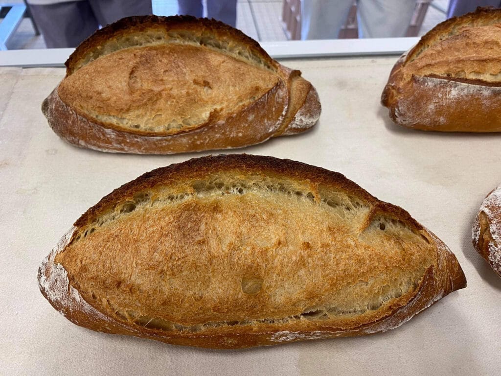 Minoterie Carnat Moulin de Briffaud Saône et Loire Bourgogne Franche Comté Neuvy Grandchamp 71 service boulanger professionnel panification farine blé bio pain viennoiserie (3)
