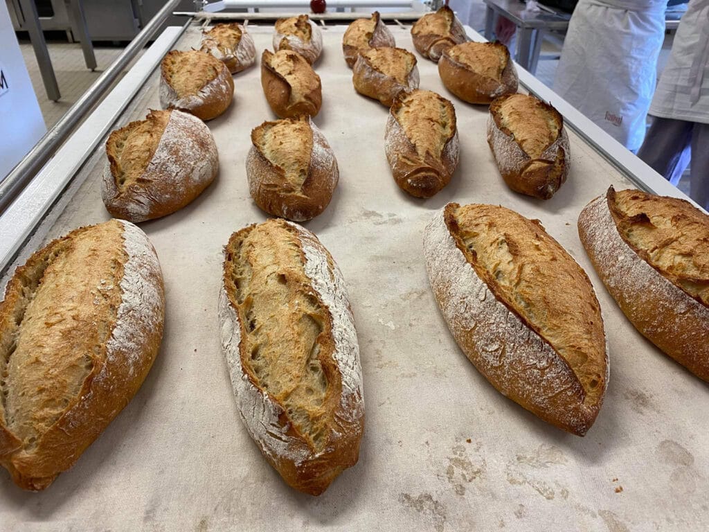 Minoterie Carnat Moulin de Briffaud Saône et Loire Bourgogne Franche Comté Neuvy Grandchamp 71 service boulanger professionnel panification farine blé bio pain viennoiserie (7)